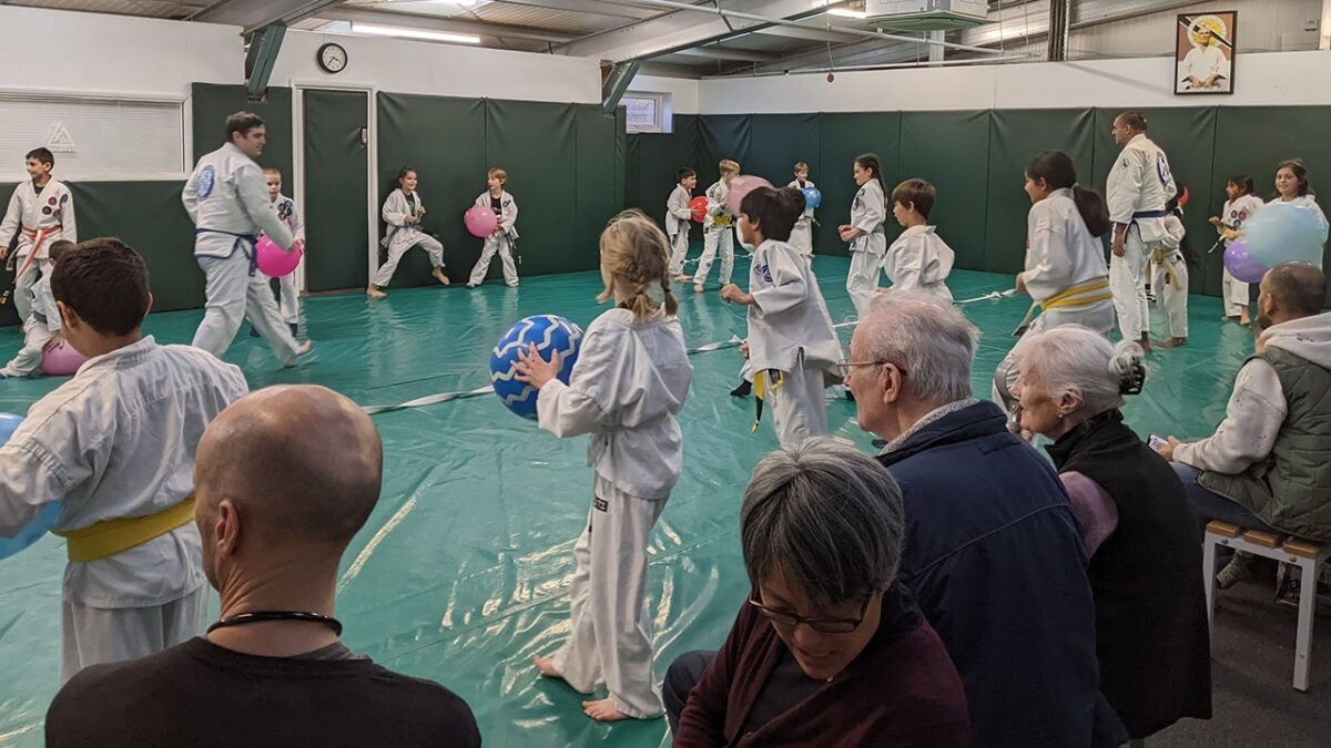 Jiu-jitsu birthday party